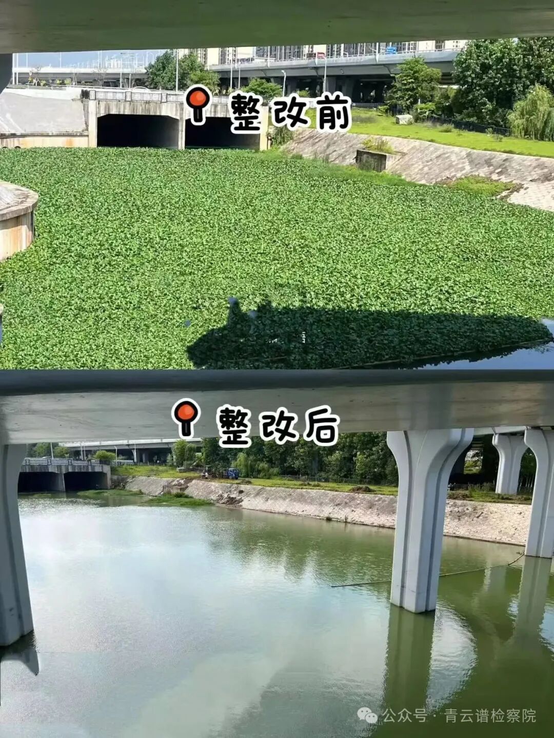 ���ӽ�����ר���������׼�����ж�������������ػ����Ӻ��塱������ˮ��̬��������Ƭ